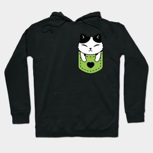 The cat is sleeping and cute in the green pocket Hoodie